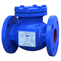 Cast Iron Check Valves