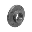 80 flange fipt