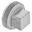 4" LabWaste CPVC Square Head Clean Out Plug MPT (P106-040C)