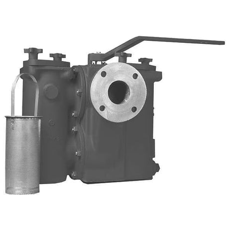 Mueller Duplex Basket Strainers