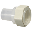 2" Adapter FPT x Butt-Fusion Natural Polypropylene