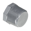 3/4 inch Schedule 80 CPVC Plug 9850-007