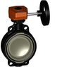 2-1/2 inch GF 567 Butterfly Valve Viton 161567023