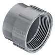 2" LabWaste CPVC Clean Out Adapter Spigot x FPT (P105-020C)