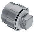 2" LabWaste CPVC Clean Out Adapter Spigot x FNPT with Plug (P105X-020C)