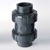 2 inch True Union Ball Check Valve 101105020