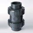 1 inch True Union Ball Valve Viton 23105010