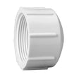 4 inch Schedule 40 PVC Cap FPT 448-040